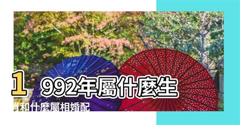 1987屬什麼|1987年屬什麼，1987年屬相是什麼